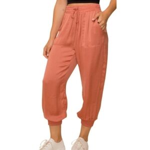 Hem & Thread Luxe Satiny Jogger Pants